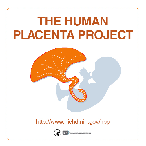 The Human Placenta Project Facecbook Image